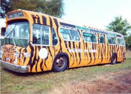bus.jpg