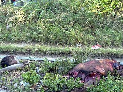 young-20man-20found-20dismembered-20on-20railway-2001.jpg