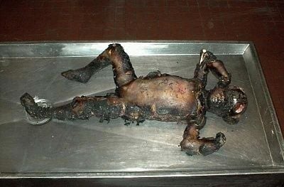 ribs-anyone1.jpg