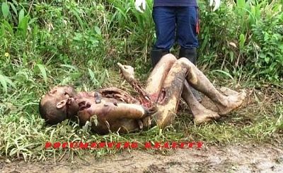 machete-20hacked-20-282-29.jpg