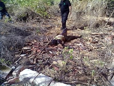 homeless-20woman-20found-20dead-20-20putrefaction-2001.jpg