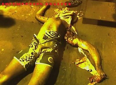 crushed-20head-20-281-29.jpg