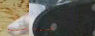 Name:  tpp.jpg
Views: 51
Size:  7.9 KB