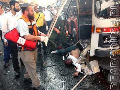 bus1.jpg