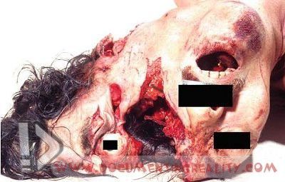 Name:  Image3.jpg
Views: 39184
Size:  36.3 KB