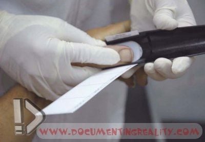 Name:  Image11.jpg
Views: 21922
Size:  19.2 KB