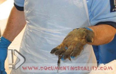 Name:  Image14.jpg
Views: 22754
Size:  23.9 KB