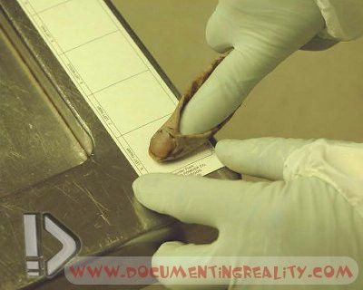 Name:  Image15.jpg
Views: 21627
Size:  27.6 KB