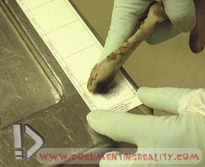 Name:  Image16.jpg
Views: 21612
Size:  30.8 KB