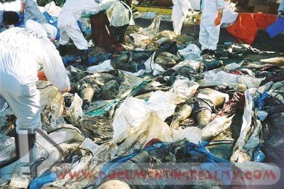 Name:  Image72.jpg
Views: 24008
Size:  51.0 KB