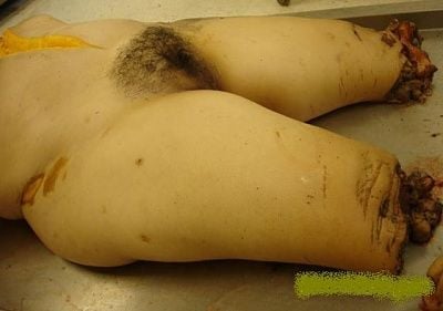morgue-20girls-20-2813-29.jpg