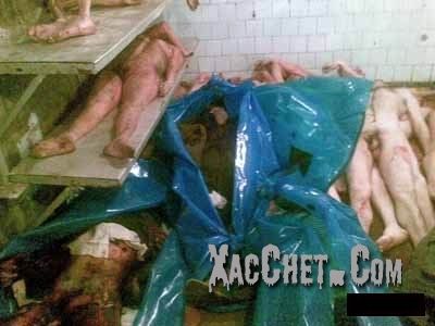 morgue170.jpg