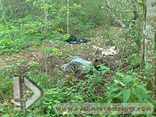 Name:  Foto0440.jpg
Views: 959
Size:  45.8 KB