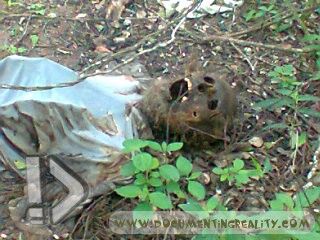 Name:  Foto0444.jpg
Views: 974
Size:  37.5 KB