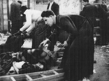 karpiscompletelemans1955set%20%2841%29.jpg