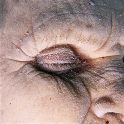 goran_bertok_gb209392184947200_orig.jpg