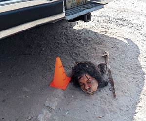 ecatepec-state-of-mexico-residents-observed-several-dogs-fighting-over.jpg