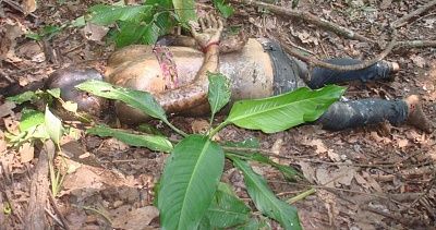 18-20yo-20female-20druguser-20found-20executed-20-2001.jpg