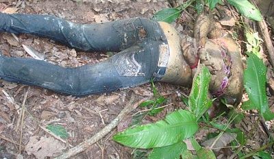 18-20yo-20female-20druguser-20found-20executed-20-2003.jpg