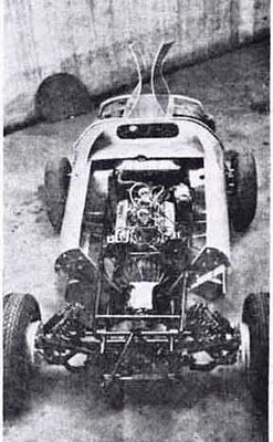 w-8.jpg