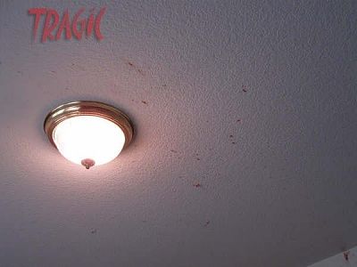 img_0095.jpg
