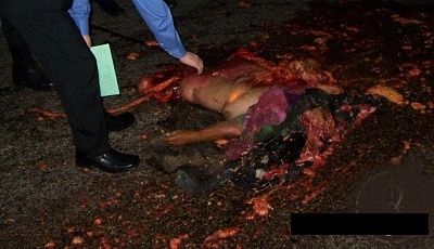 ran_over01.jpg