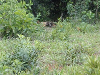 38-20yo-20woman-20found-20dead-2001.jpg