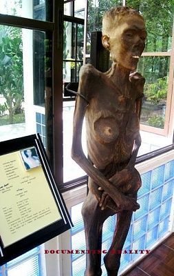life-20musuem-20-2819-29.jpg