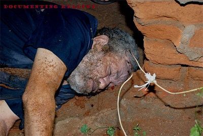 electrocuted-20-281-29.jpg