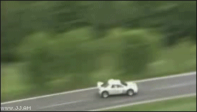 MS.gif