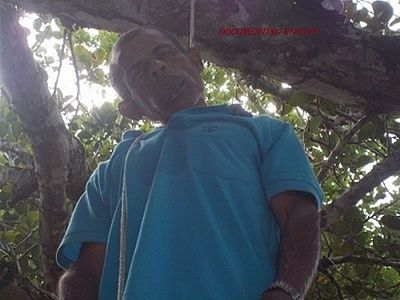hun-20from-20tree-20-281-29.jpg