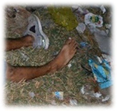 Name:  Image6.jpg
Views: 3491
Size:  27.9 KB