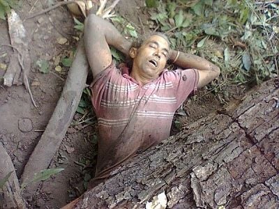 logger.jpg