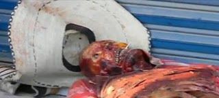 Skinned%20Head-07.JPG
