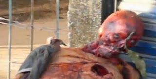 Skinned%20Head-08.JPG