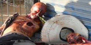 Skinned%20Head-12.JPG