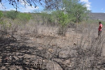 human-20remains-20-282-29.jpg