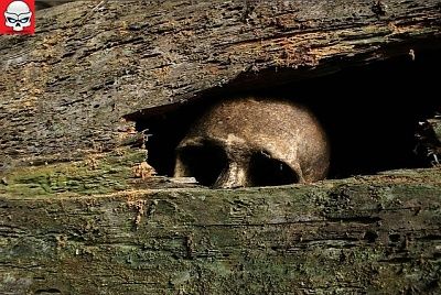peeking.jpg