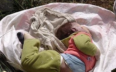 babykilled.jpg