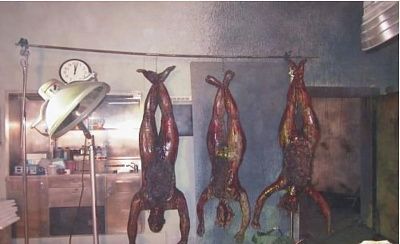 meat2.jpg