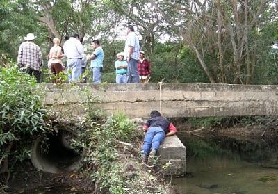 bridge__3_.jpg