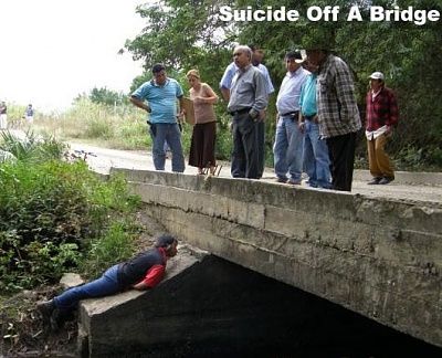 bridge__7_.jpg