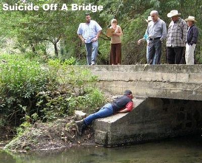 bridge__8_.jpg