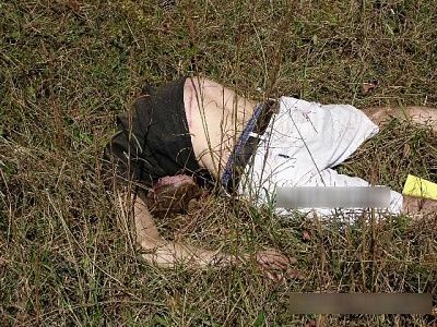 rollover-2-_01_01.jpg