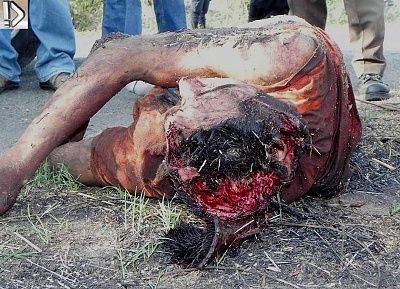 crushed-20heads-20-282-29.jpg