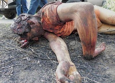 crushed-20heads-20-283-29.jpg