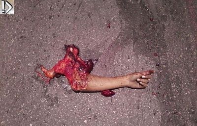 crushed-20heads-20-2811-29.jpg