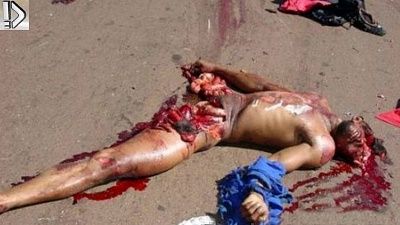 crushed-20heads-20-2813-29.jpg