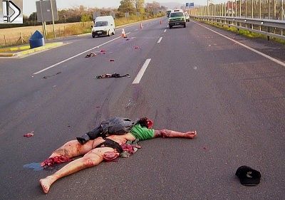 crushed-20heads-20-2815-29.jpg