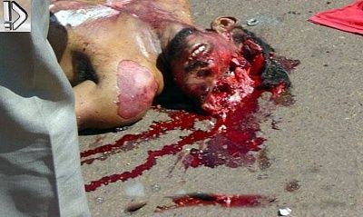 crushed-20heads-20-2814-29.jpg